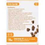 Dr. Paw Derma H Plus Büyük Irk Köpekler için Glütensiz ve Şekersiz Tüy ve Cilt Sağlığı Destekleyici Çiğnenebilir Tablet (60 Tablet, 120 gr) - Görsel 4