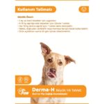 Dr. Paw Derma H Plus Büyük Irk Köpekler için Glütensiz ve Şekersiz Tüy ve Cilt Sağlığı Destekleyici Çiğnenebilir Tablet (60 Tablet, 120 gr) - Görsel 5