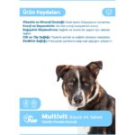 Dr. Paw - Multivit Plus Büyük Irk Köpekler için Günlük Vitamin Takviyesi Çiğnenebilir Tablet (60 adet, 120 gr) - Görsel 2