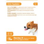 Dr. Paw - Derma H Plus Küçük Irk Köpekler için Glütensiz ve Şekersiz Tüy ve Cilt Sağlığı Destekleyici Çiğnenebilir Tablet (60 Adet, 90 Gr) - Görsel 2