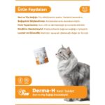 Dr. Paw Derma H Plus Kediler için Glütensiz ve Şekersiz Deri ve Tüy Sağlığı Destekleyici Çiğnenebilir Tablet (60 adet, 90 gr) - Görsel 2
