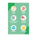 Petline Tüy ve Deri Sağlığı Destekleyici Özellikte Hypoallergenic Kuzu Etli Yetişkin Kedi Maması 3KG ( 2 x 1.5Kg ) - Görsel 5