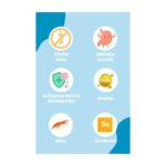 Petline Hamsili Balıklı Yetişkin Kedi Maması 3KG ( 2 x 1.5Kg ) - ANCHOVY - Görsel 5