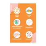 Petline 10 kg Somonlu Yavru Kedi Maması 10 kg - Görsel 4