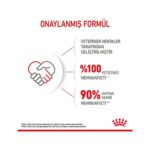Royal Canin Yavru Kediler için Kuru Kedi Maması 400g - Görsel 2