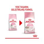 Royal Canin Yavru Kediler için Kuru Kedi Maması 400g - Görsel 3