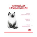 Royal Canin Yavru Kediler için Kuru Kedi Maması 400g - Görsel 5