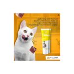 Lapharma Anti-Hairball Kedi Için Malt Paste 100GR - Görsel 2