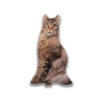 Lepus 3 Boyutlu Kedi Yastığı No 10 40 x 25 cm