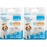 Royalist Köpek Ithal Çiş Pedi 2 x 11 22 Adet 60x60 Cm