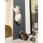 Katflex  Açık Gri Yapışkanlı Koltuk Kenarı Koruyucu Kedi Tırmalama Halısı - Görsel 5