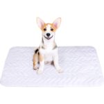 Denizli Alez Yıkanabilir, Kapitoneli Sıvı Geçirmez Kedi ve Köpek Çiş Pedi - Görsel 2