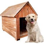 Pinoxi Orta Boy Irk Köpekler İçin Doğal Ahşap Kulübe - Görsel 2