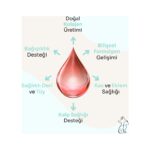 Kahu Naturals Pure Salmon Vitality %100 Doğal Norveç Somon Balık Yağı, Omega 3 ve 6, E Vitamini, Kedi ve Köpek, 250 ml - Görsel 3