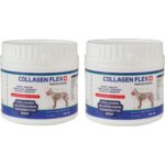 Collagen Flex 400 gr 2 Adet Eklem, Kas ve Kıkırdak Desteği - Görsel 2