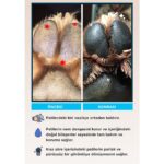 Metapet Köpek Pati Temizleme Köpüğü ve Fırçası, Yıkama, Bakım Sağlık Ürünleri, Nemlendirici, Temizleyici - Görsel 4