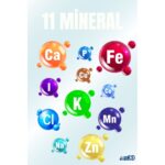 AIM30 Multivitamin +A30 A30, Multivitamin ve Mineral Içeren Takviye Edici Gıda Tavuk ve Yengeçli - Görsel 3