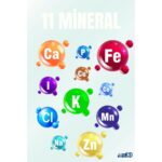 AIM30 Multivitamin A30, Multivitamin ve Mineral Içeren Takviye Edici Gıda Tavuk ve Balıklı - Görsel 3