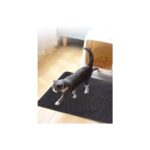 Pribor Kedi Tuvalet Önü Elekli Kum Paspası - Görsel 2