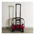 Şeffaf Çekçekli Kedi Köpek  Taşıma Çantası Pet Taşıma Çantası - Görsel 3