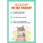 BioFeline Kediler İçin Derma Malt Macun – Tüy Sağlığı Destekleyici 100g - Görsel 5