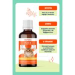 BioFeline Biotinli Tüy Dökülmesini Azaltıcı Plus B Damla 50 ml Kediler için Vitamin Desteği - Görsel 4