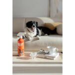 Carpex Evcil Hayvan Koku Ve Leke Giderici 500 ML