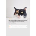 Carpex Evcil Hayvan Koku Ve Leke Giderici 500 ML - Görsel 5