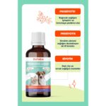 BioFeline Kedi ve Köpekler İçin Sıvı Probiyotik 100 ml - Görsel 3