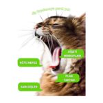 Greenwich Vegan Bitkisel İçerikli Kedi Köpek Diş Temizleme Islak Hijyenik Parmak Mendil 50 Adet - Görsel 3