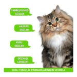Greenwich Göz Kulak Temizleme Parmak Mendil Tahriş Giderici Hijyenik Islak Mendil Kedi Köpek Vegan Bitkisel Içerikli 50 Adet - Görsel 4