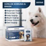 Pawgus Veteriner Gıda Takviyeleri Köpekler İçin İmmune Support Günlük Vitamin Desteği BağIşıklık Kuvvetlndirici  30 x 2 gr - Görsel 4