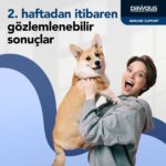 Pawgus Veteriner Gıda Takviyeleri Köpekler İçin İmmune Support Günlük Vitamin Desteği BağIşıklık Kuvvetlndirici  30 x 2 gr - Görsel 5