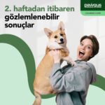 Pawgus Veteriner Gıda Takviyeleri Köpekler İçin Anksiyete Giderimi Sakinleştirici 30 x 2 gr - Görsel 5