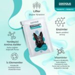 Pawgus Veteriner Gıda Takviyeleri Köpekler İçin Probiyotik + Prebiyotik Takviye 30 x 2 gr - Görsel 3