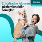 Pawgus Veteriner Gıda Takviyeleri Köpekler İçin Probiyotik + Prebiyotik Takviye 30 x 2 gr - Görsel 5