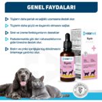 OneVet Biotin Damla 50 ml Kedi ve Köpekler İçin Deri ve Tüy Desteği Vitamin Desteği - Görsel 4