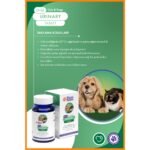 NomNom Kedi ve Köpek Urinary Tablet 75’li – Takviye - Görsel 5