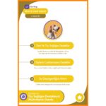 NomNom Köpek Skin & Coat Liquid –  Multivitamin Damla - Görsel 2