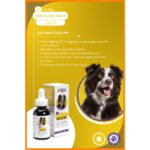 NomNom Köpek Skin & Coat Liquid –  Multivitamin Damla - Görsel 5