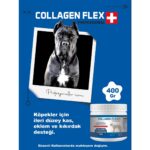 Collagen Flex Ileri Düzey Köpek Gelişim Seti - Görsel 4