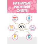 Natural Nutrition Premıum Tavuklu Kuru Yavru Kedi Maması 2 kg Kitten-Mother-Baby - Görsel 3