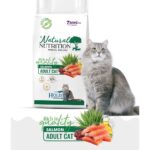 Natural Nutrition Premıum Somonlu Kuru Kedi Maması 2 kg Salmon Adult Cat