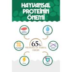 Natural Nutrition Premıum Somonlu Kuru Kedi Maması 2 kg Salmon Adult Cat - Görsel 3