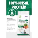 Natural Nutrition Premıum Somonlu Kuru Kedi Maması 2 kg Salmon Adult Cat - Görsel 2