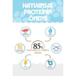 Natural Nutrition Premıum Somonlu Kuru Kısırlaştırılmış Kedi Maması 2 kg Salmon Adult Cat - Görsel 3