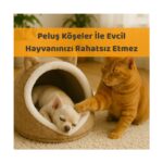 Beylini Kedi Evi Köpek Evi Evcil Hayvan Yatağı 40X35X34 cm Katlanabilir Keçe Yuva Krem - Görsel 3