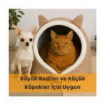Beylini Kedi Evi Köpek Evi Evcil Hayvan Yatağı 40X35X34 cm Katlanabilir Keçe Yuva Krem - Görsel 4