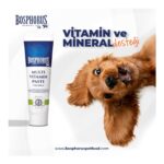 Bosphorus Köpekler Için Multivitamin Malt Macun 100G - Görsel 2
