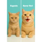 Biofeline Kısırlaştırılmış Kediler İçin Tüy Sağlığı ve Besleyici Destek Seti: 100g Malt Macun + Biotinli Damla - Görsel 2